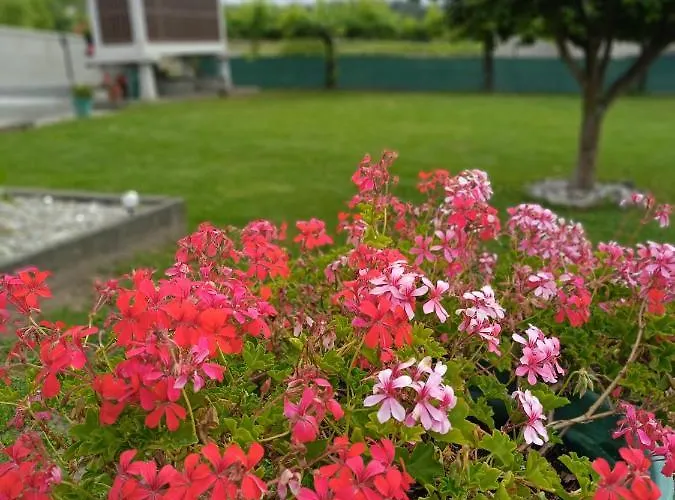 Vakantiehuis Casa/chalet En 3hab. *