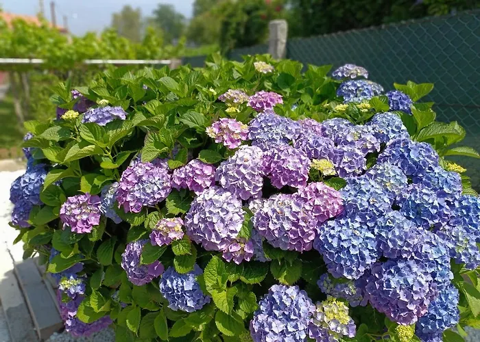 Casa/chalet En 3hab. *